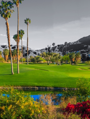 Turf and Ornamental Products 