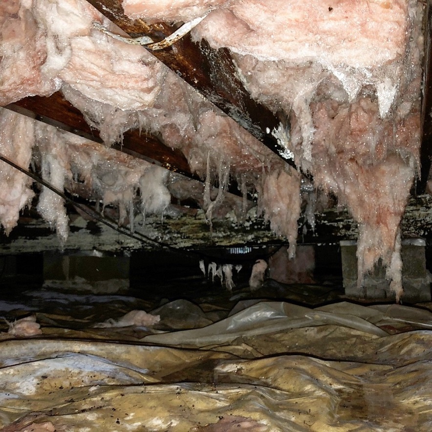 how do you get mold in your house