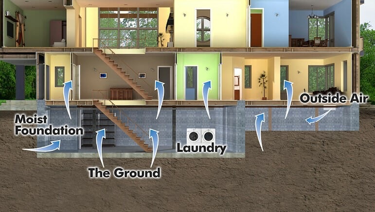 humidity level for mold growth